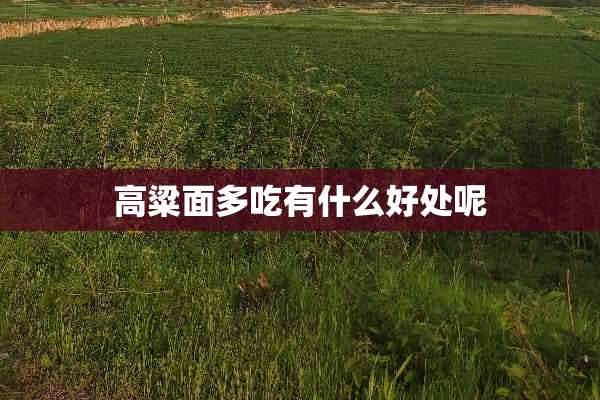 高粱面多吃有什么好处呢