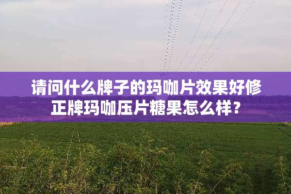 请问什么牌子的玛咖片效果好修正牌玛咖压片糖果怎么样？