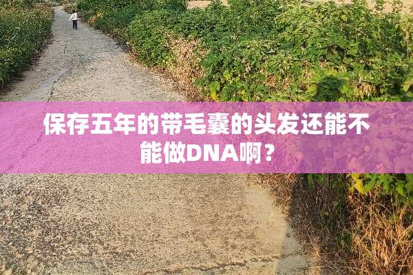 保存五年的带毛囊的头发还能不能做DNA啊？