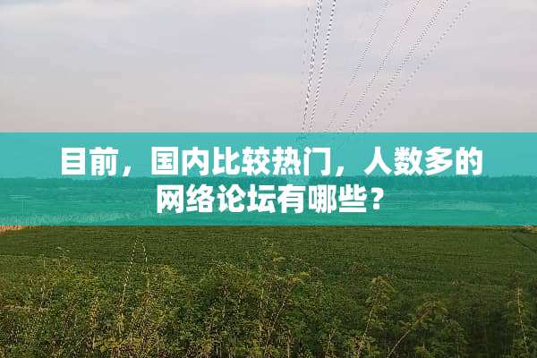 目前，国内比较热门，人数多的网络论坛有哪些？