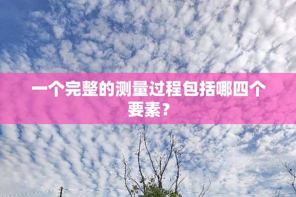 一个完整的测量过程包括哪四个要素？