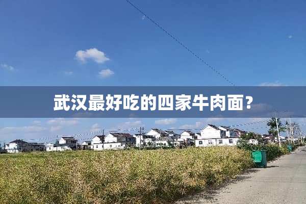 武汉最好吃的四家牛肉面？