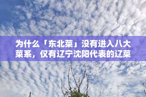 为什么「东北菜」没有进入八大菜系，仅有辽宁沈阳代表的辽菜？