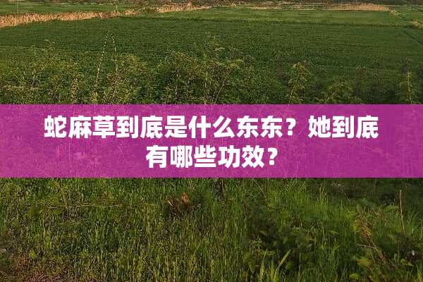 蛇麻草到底是什么东东？她到底有哪些功效？