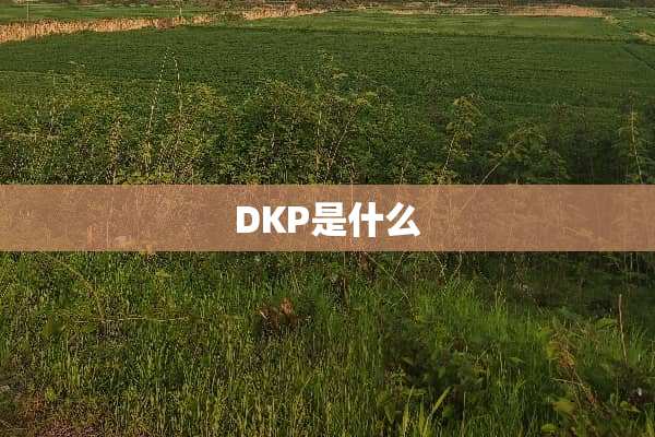 DKP是什么