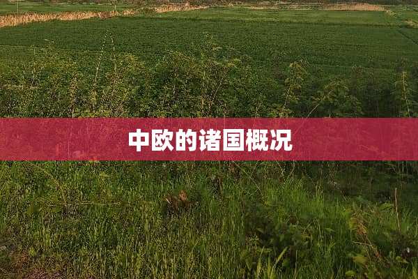 中欧的诸国概况