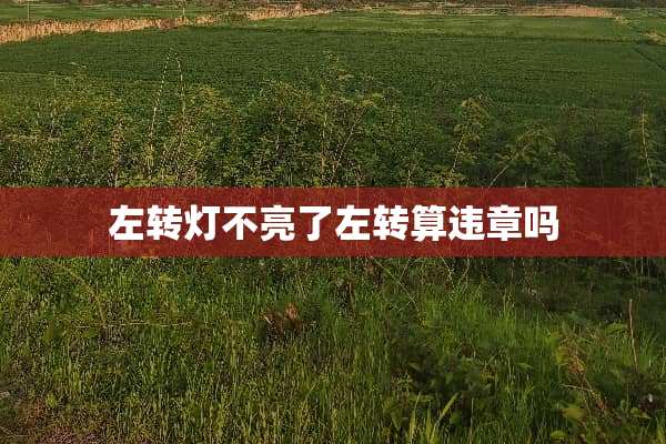 左转灯不亮了左转算违章吗