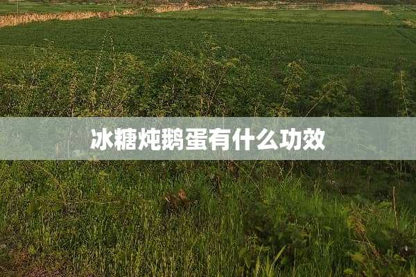 冰糖炖鹅蛋有什么功效