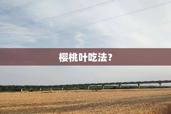 樱桃叶吃法？