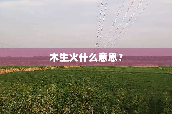 木生火什么意思？