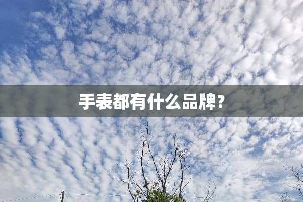 手表都有什么品牌？