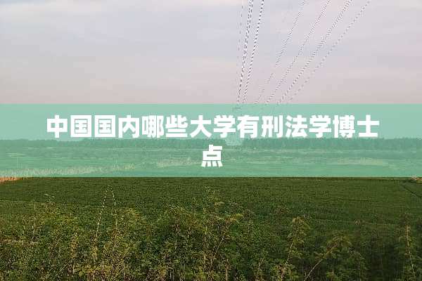 中国国内哪些大学有刑法学博士点