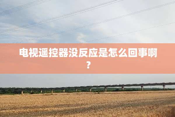 电视***没反应是怎么回事啊？