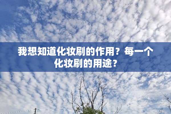 我想知道化妆刷的作用？每一个化妆刷的用途？