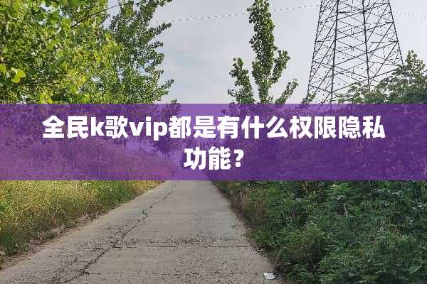 全民k歌vip都是有什么权限隐私功能？