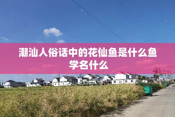 潮汕人俗话中的花仙鱼是什么鱼 学名什么