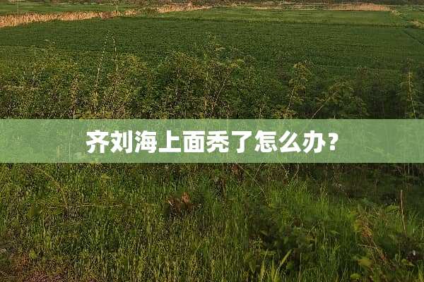 齐刘海上面秃了怎么办？