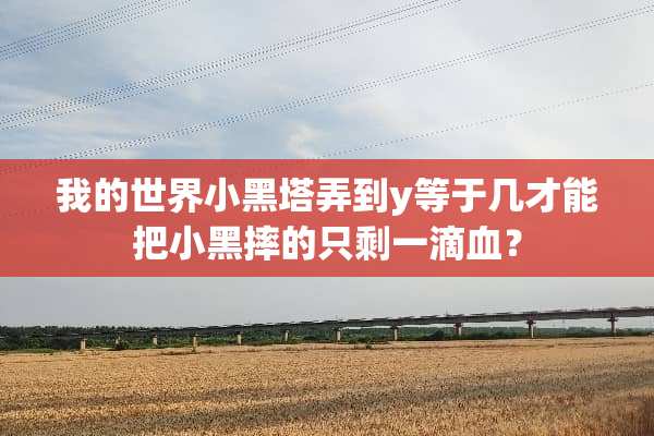 我的世界小黑塔弄到y等于几才能把小黑摔的只剩一滴血？