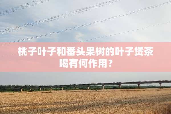 桃子叶子和番头果树的叶子煲茶喝有何作用？