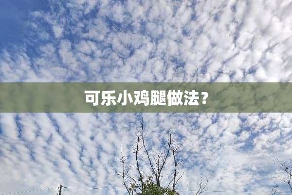 可乐小鸡腿做法？