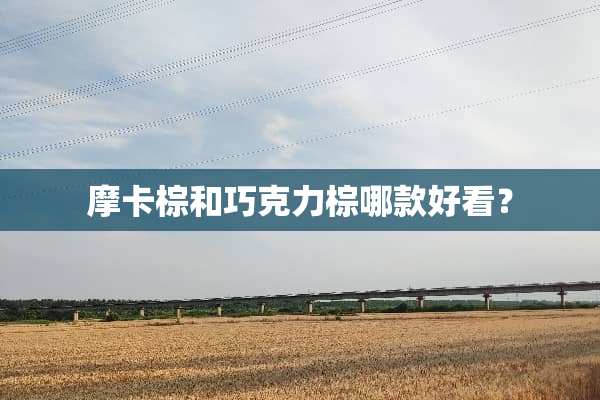 摩卡棕和巧克力棕哪款好看？