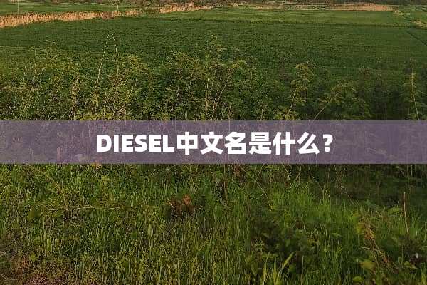 DIESEL中文名是什么？