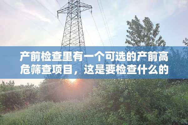 产前检查里有一个可选的产前高危筛查项目，这是要检查什么的？哪些人有需要做？