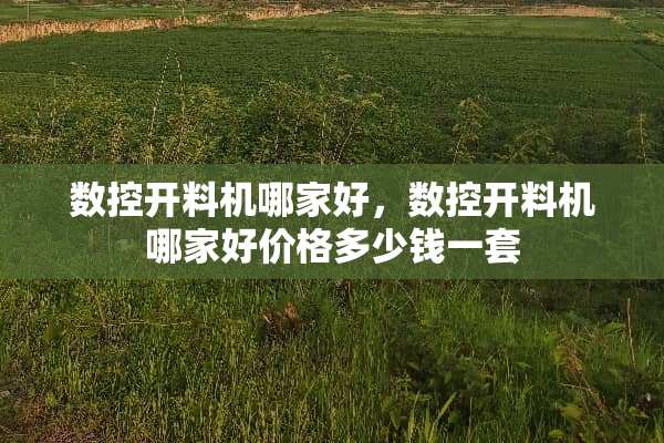 数控开料机哪家好，数控开料机哪家好价格多少钱一套