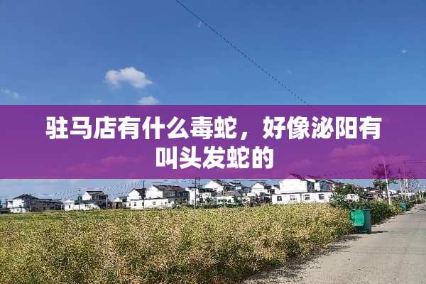 驻马店有什么毒蛇，好像泌阳有叫头发蛇的
