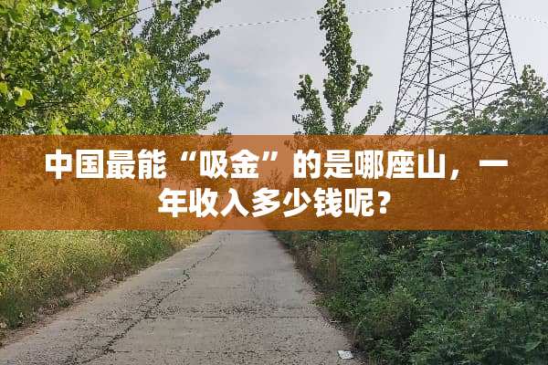 中国最能“吸金”的是哪座山，一年收入多少钱呢？
