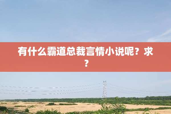 有什么霸道总裁言情小说呢？求？