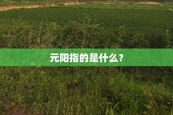 元阳指的是什么？