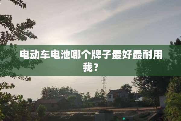 电动车电池哪个牌子最好最耐用我？