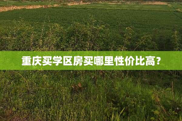 重庆买学区房买哪里性价比高？