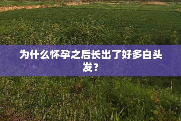 为什么怀孕之后长出了好多白头发？