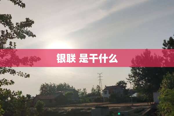 银联 是干什么