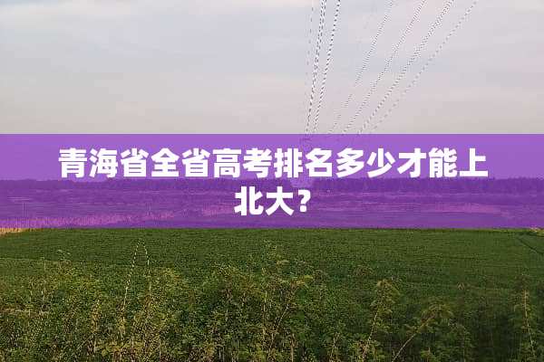 青海省全省高考排名多少才能上北大？