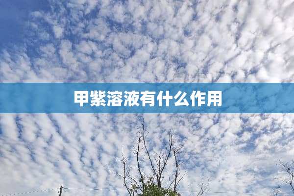 甲紫溶液有什么作用