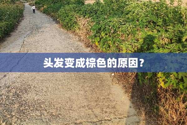 头发变成棕色的原因？