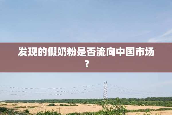 发现的假奶粉是否流向中国市场？