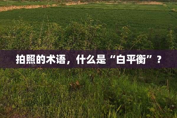 拍照的术语，什么是“白平衡”？