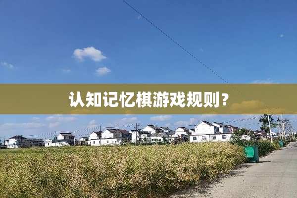 认知记忆棋游戏规则？