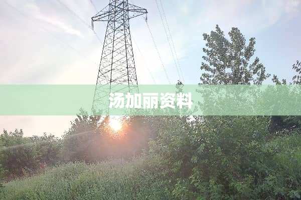 汤加丽资料