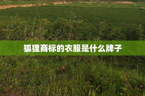 狐狸商标的衣服是什么牌子