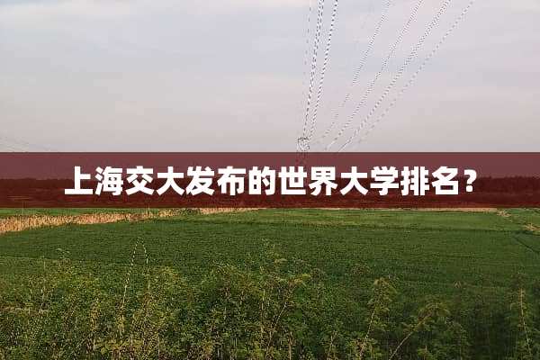 上海交大发布的世界大学排名？