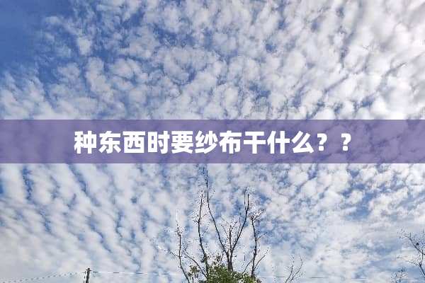 种东西时要纱布干什么？？