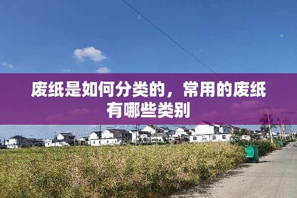 废纸是如何分类的，常用的废纸有哪些类别