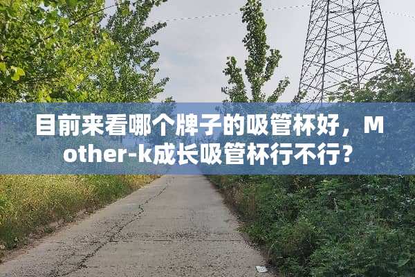 目前来看哪个牌子的吸管杯好，Mother-k成长吸管杯行不行？