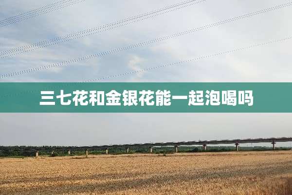 三七花和金银花能一起泡喝吗