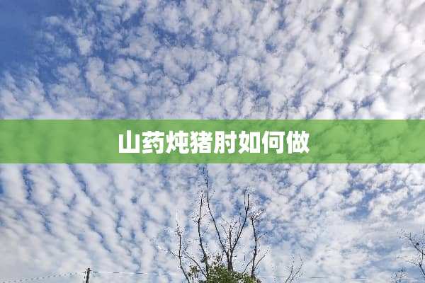 山药炖猪肘如何做